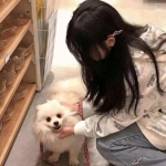 安智游戏弹弹堂s官方下载